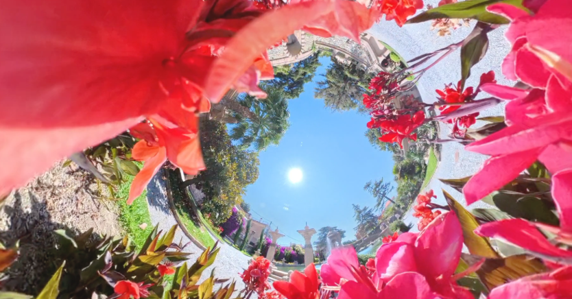 Screenshot 2026-02-23 alle 16.35.55.png