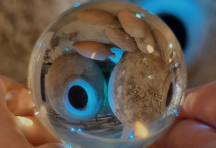 Screenshot 2026-04-06 alle 20.29.03.png